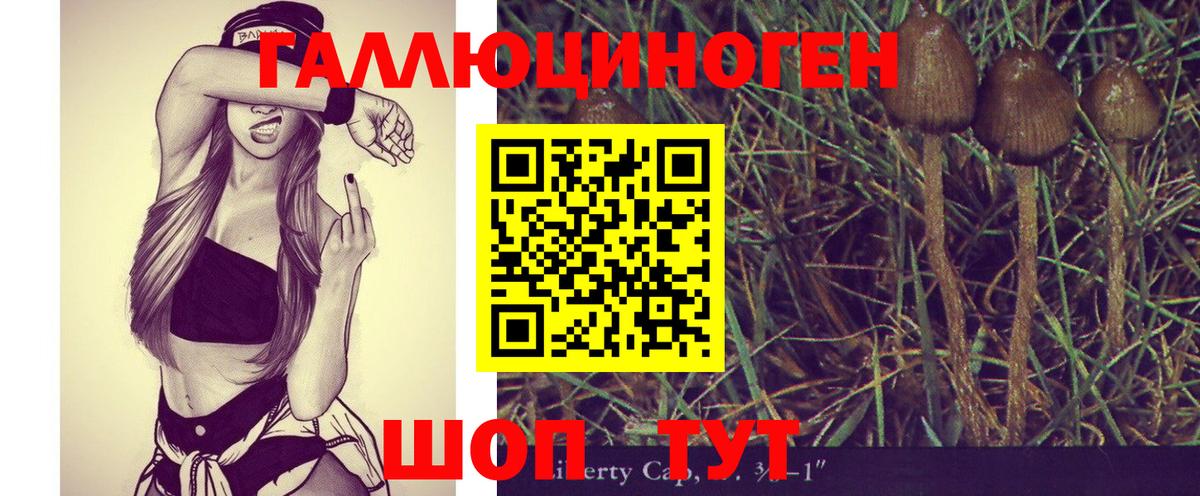 Псилоцибиновые грибы MAGIC MUSHROOMS Павлово