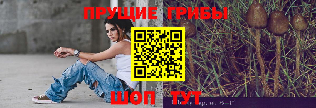 Псилоцибиновые грибы Cubensis  где найти   Павлово  Вход с VPN 